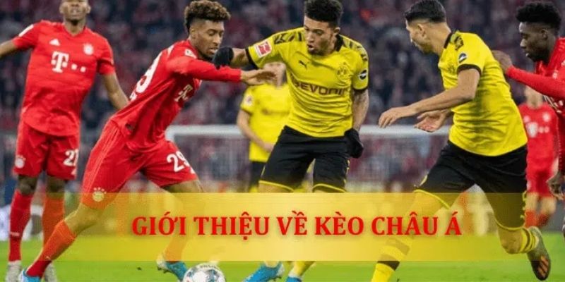 Kèo Handicap luôn là đề tài được fan bóng quan tâm